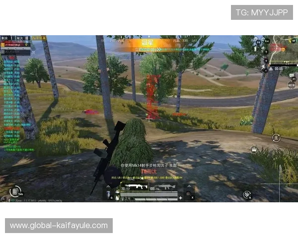 凯发PA捕鱼王：多样化的游戏模式满足不同玩家需求